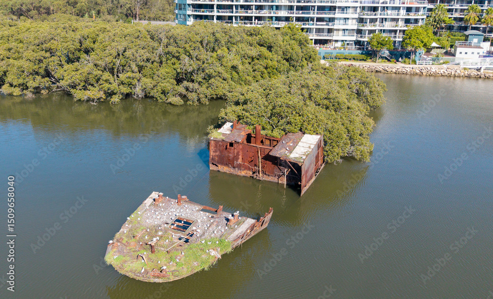 Naklejka premium Sydney, Homebush Bay shipwreck SS Ayrfield covered in mangrove trees, 