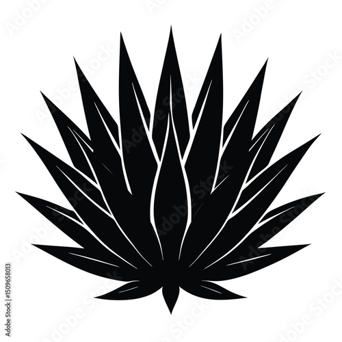 Blue agave cactus silhouette with sharp, spiky leaves fanning outward in a bold, dramatic shape — iconic desert plant known for its striking symmetry and elegance.
