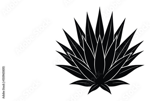 Blue agave cactus silhouette with sharp, spiky leaves fanning outward in a bold, dramatic shape — iconic desert plant known for its striking symmetry and elegance.
