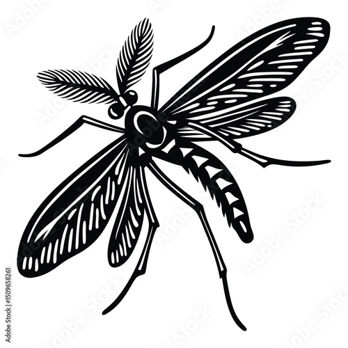 Silhouette of a flying and sucking mosquito with extended proboscis, delicate wings, and long legs—capturing the insect’s stealthy and agile form in mid-air.
