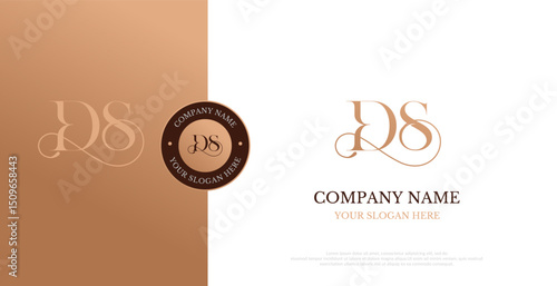Initial DS Logo Design Vector 