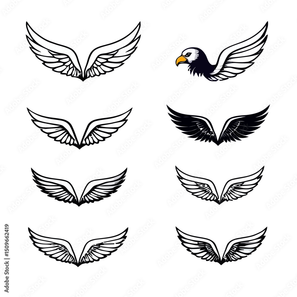 Obraz premium set of vector wings