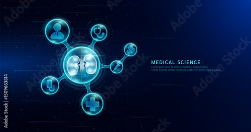 Medical science. Human kidney organ inside transparent molecule with icons doctor pill syringe stethoscope saline bag and cross. On dark blue digital technology background. Vector EPS10.