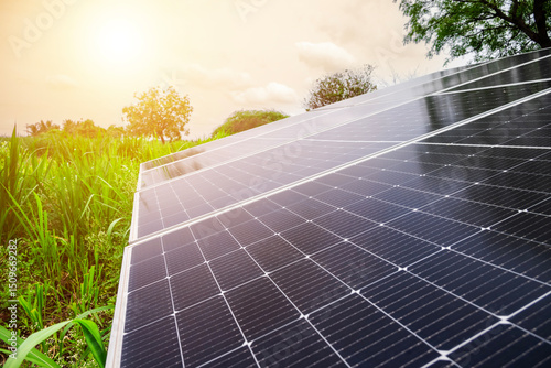 solar panels at a solar farm at bright sunset. Solar cell power plants. water system pumped with Solar panels. smart agriculture