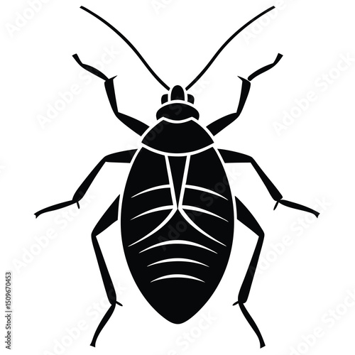 Single aphid illustration on white background