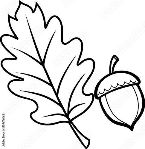 oak leave and acorn outline vector illustration line art 