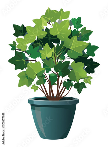 Potted green vine with many leaves
