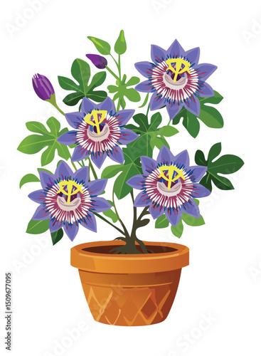 Wallpaper Mural Potted Passion Flower - Blue, Purple Torontodigital.ca