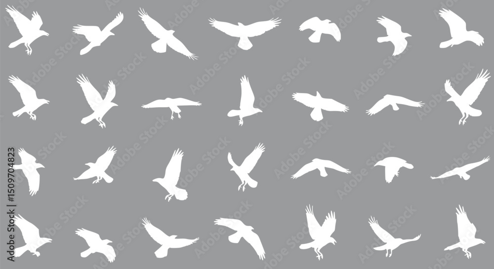 White Crow Silhouettes Flying Birds Pattern Grey Background Nature Wal
