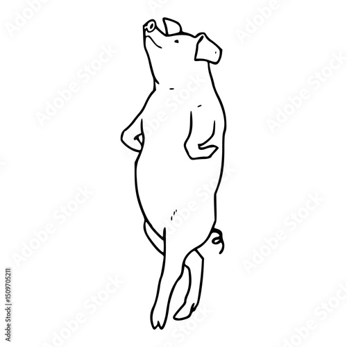 confident standing pig illustration