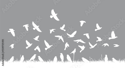 Flock of Birds Flying over Grass Silhouette White Birds Nature Scene