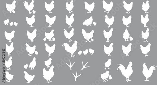 White Silhouettes of Chickens Roosters and Chicks on Gray Background