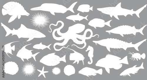 Ocean Life Silhouettes: Fish Shark Octopus Sea Urchin Starfish Collect
