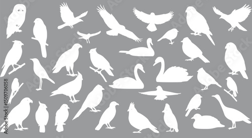 White Bird Silhouettes Collection of Various Avian Species Grey Backgr