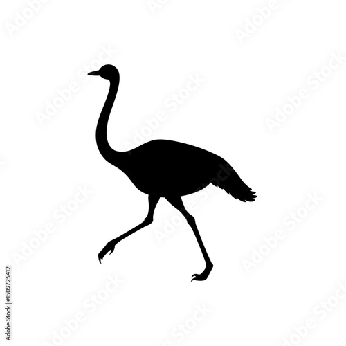 Detailed Side View of a Running Ostrich Rendered as a Black Silhouette Graphic