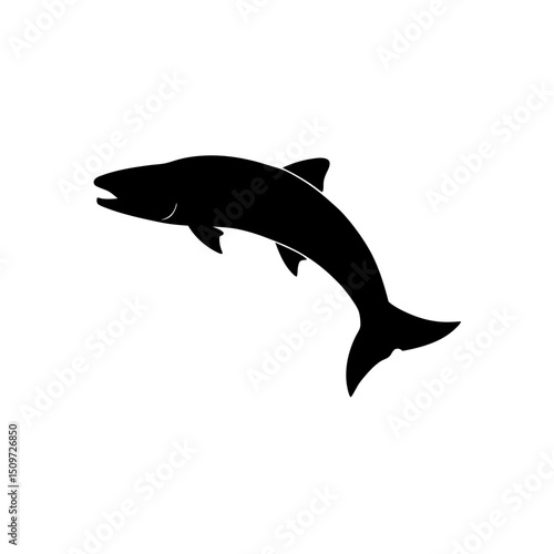 A Black Silhouette Vector Illustration of a Jumping Salmon from a Side Profile