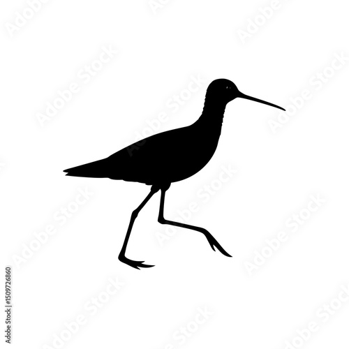 Detailed Side View of a Running Sandpiper Rendered as a Black Silhouette Graphic