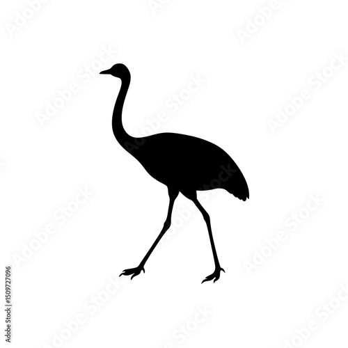 A Black Silhouette Vector Illustration of a Walking Rhea from a Side Profile