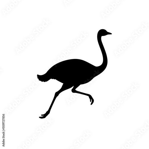 Elegant Side Profile Vector Illustration of a Running Ostrich a Black Silhouette