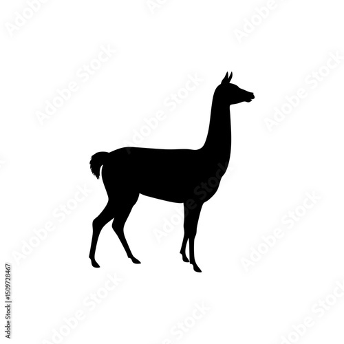 Steady Side View of a Llama Trotting Black Silhouette Vector Clip Art Illustration