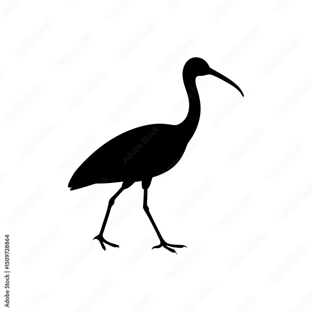 Fototapeta premium Basic Side View of an Ibis Walking Black Silhouette Vector Clip Art Illustration
