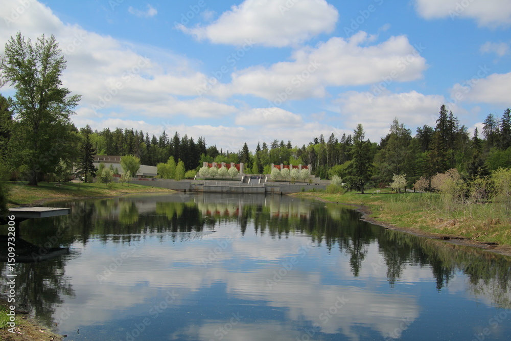 Fototapeta premium reflection of trees in lake
