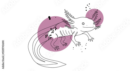axolotl  line art duotone iillustration. Cute axolotl with long tail and feathery gills.  Axolotl design perfect for children's books, apparel, or whimsical home decor.