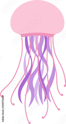 sealife, jellyfish