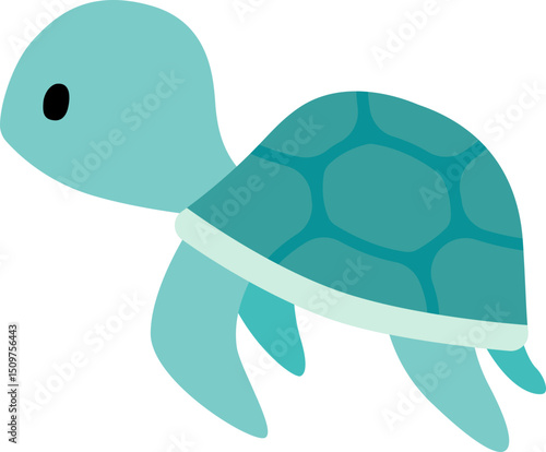 sealife, sea turtle
