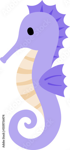 sealife, seahorse
