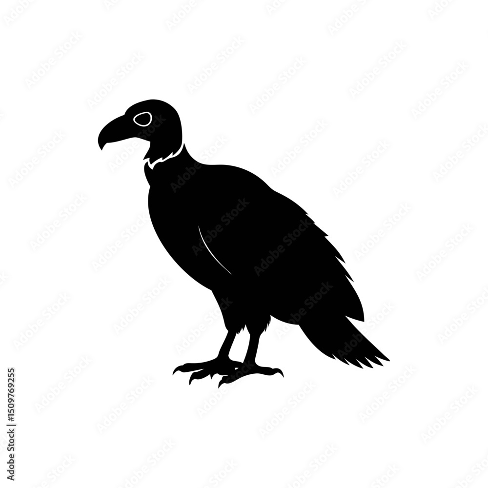 Obraz premium Vulture silhouette, vector silhouette of an animal on a white background