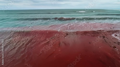 Polluted Red Tide Ocean Waters