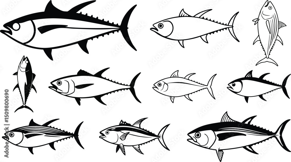 tuna fish line art vector set, black tuna fish illustration. tuna fish line art vector set, black tuna fish illustration.