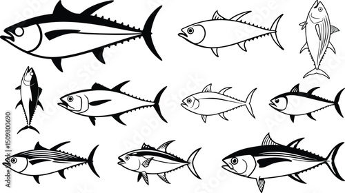 tuna fish line art vector set, black tuna fish illustration.