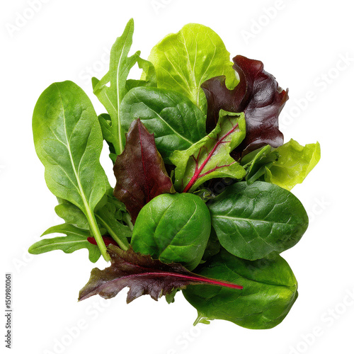 Fresh Organic Mixed Greens Salad Leaves A Vibrant Blend of Lettuce Spinach and Herbs