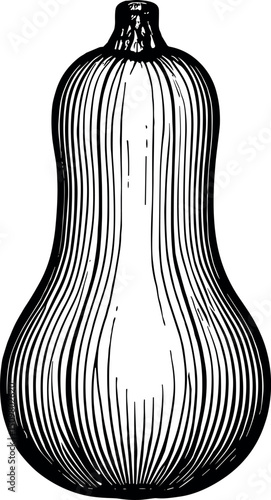 Butternut Squash vector black silhouette print design