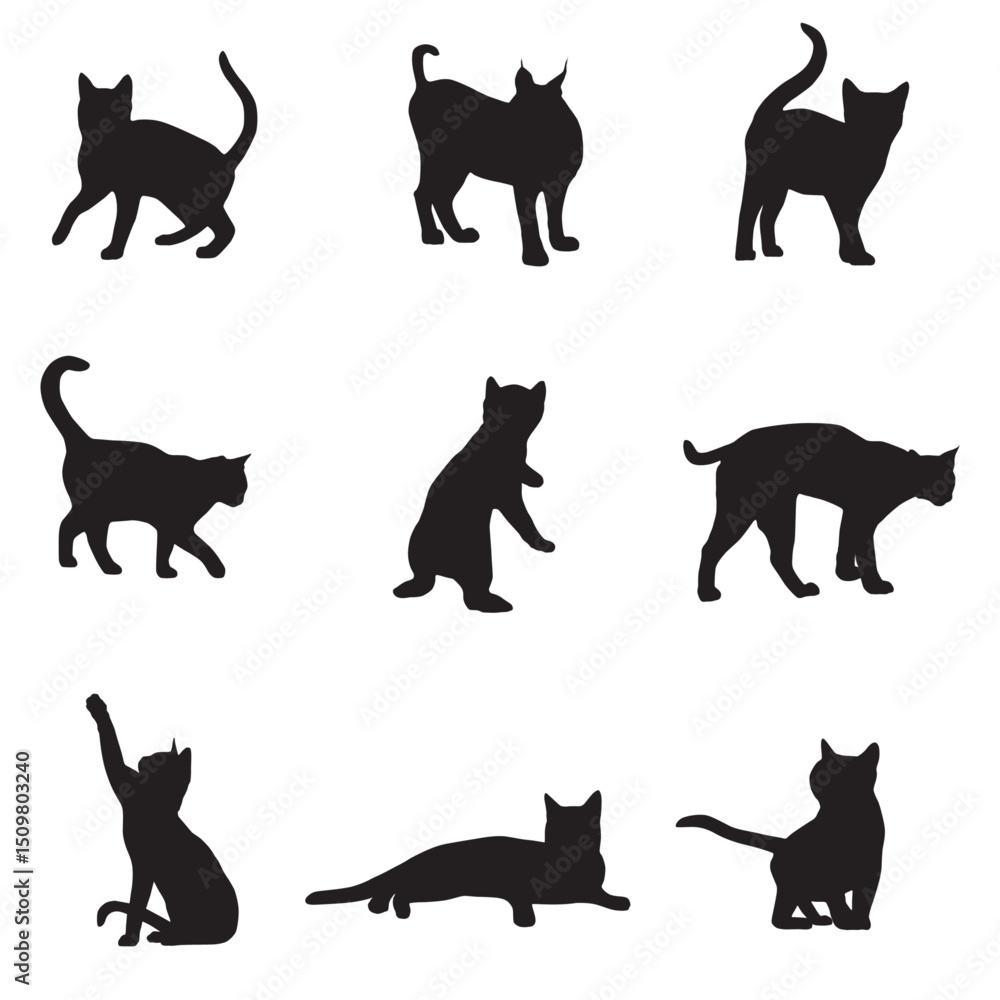 Fototapeta set of black cats