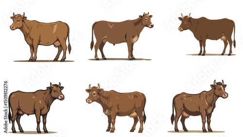 Domestic Cattle Profile - Isolated Farm Animal