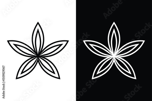 Culinary Herb Line Icon. Cumin or Caraway Seed Vector in Outline Style