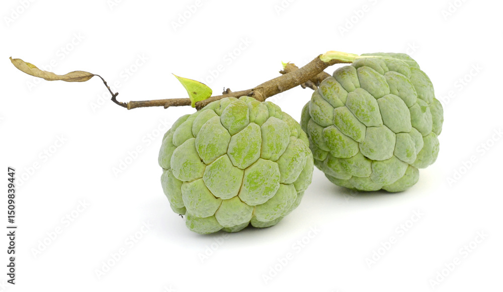Fototapeta premium Custard apple