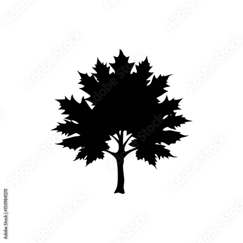 Sycamore silhouette, vector silhouette of a tree on a transparent background