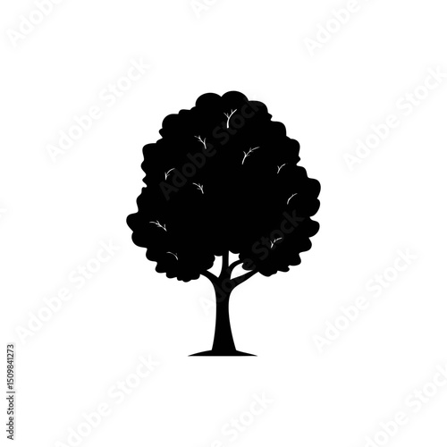 Poplar silhouette, vector silhouette of a tree on a transparent background