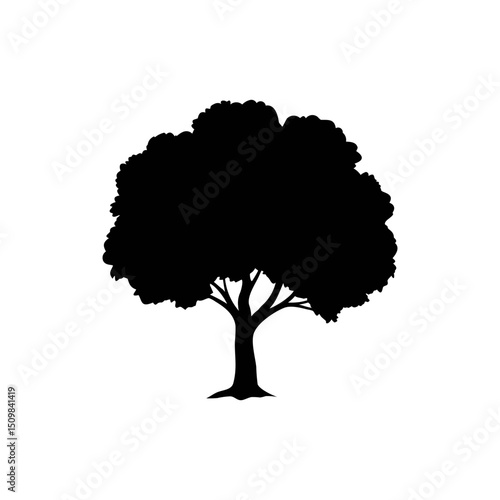Beech silhouette, vector silhouette of a tree on a transparent background