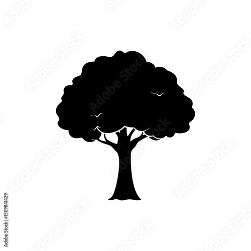 Teak silhouette, vector silhouette of a tree on a transparent background