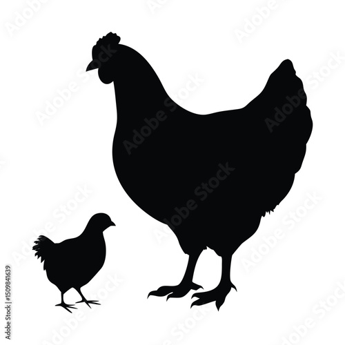 Hen vector icon Art & Illustration. hen vector, chicken vector. 