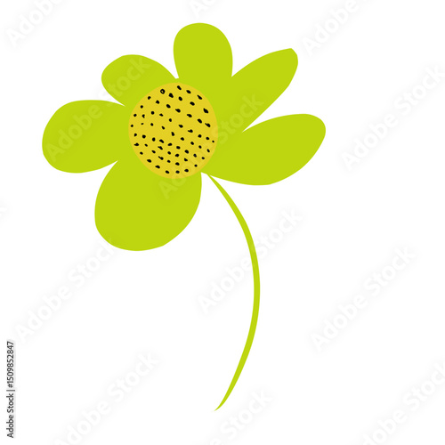 yellow flower on white background