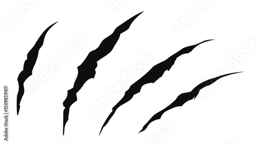 爪痕