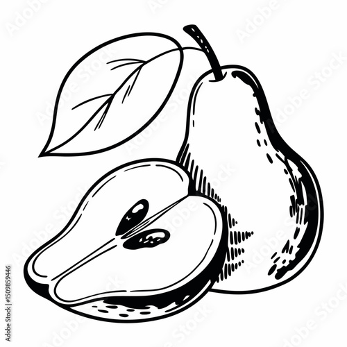 Green pears and ripe apples, illustrated as juicy and healthy natural fruit icons