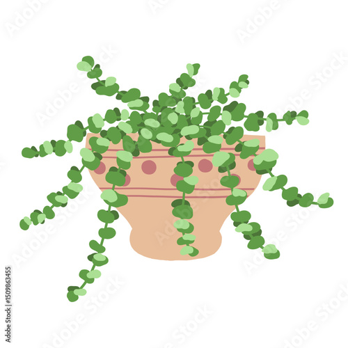 Houseplant in a pot on a white background. Vector illustration.