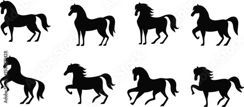 Black Horse Silhouette and Icon Set – Equine Outline and Equestrian Graphic Collection
